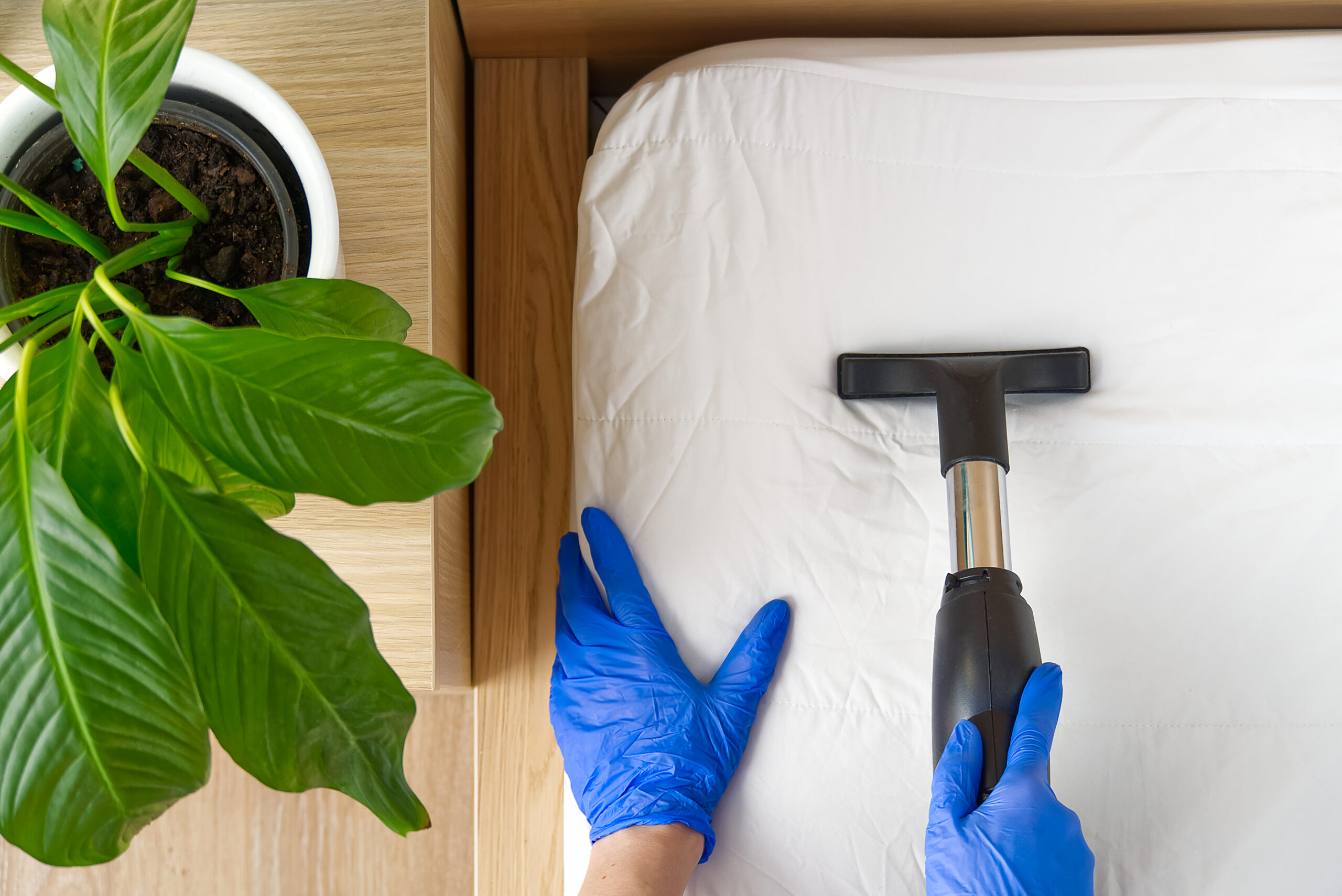 Vaccuuming a Bed - Domestic Home Cleaning | March 2022 Issue - Free Christian Lifestyle Magazine | Nashville Christian Family Magazine