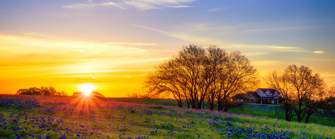 Texas Bluebonnet Wildflower Field Blooming in the Spring | March 2022 Issue - Free Christian Lifestyle Magazine | Nashville Christian Family Magazine