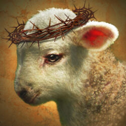 Hallmark - Lamb of God image | April 2022 Issue - Free Christian Lifestyle Magazine | Nashville Christian Family Magazine