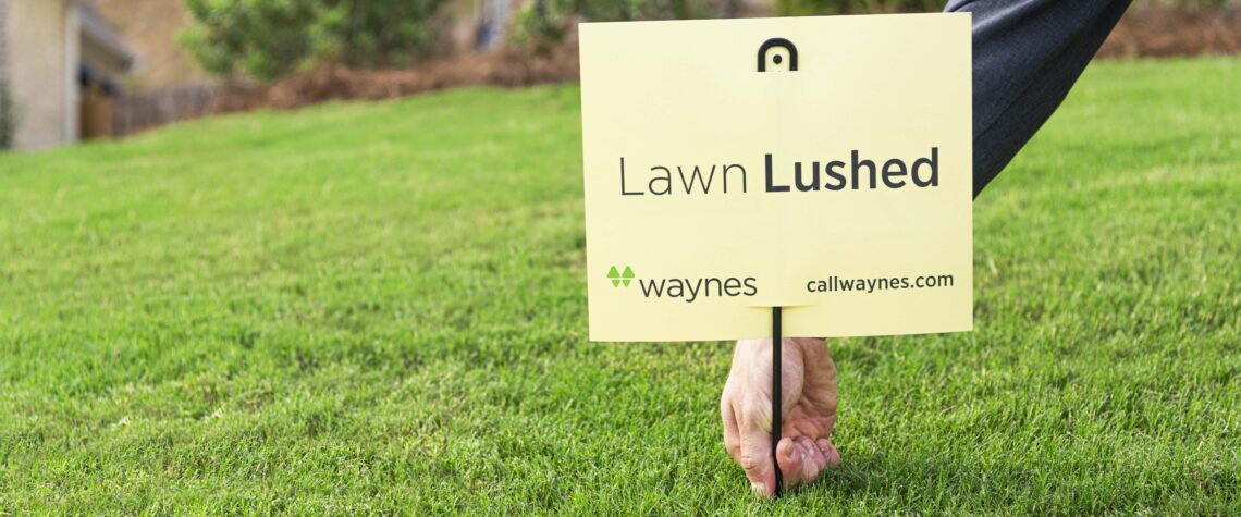 Lawn Lushed image | April 2022 Issue - Free Christian Lifestyle Magazine | Nashville Christian Family Magazine