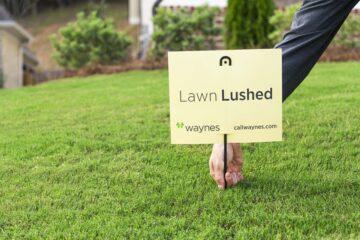 Lawn Lushed image | April 2022 Issue - Free Christian Lifestyle Magazine | Nashville Christian Family Magazine