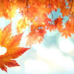 Fall and Autumn Leaves | Nashville Christian Family Magazine - Free Christian Magazine