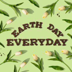 Tips For Celebrating Earth Day Everyday | Nashville Christian Family Magazine