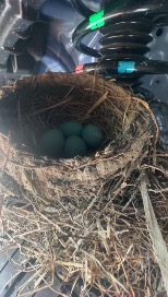 Miracle Moments 2 | Nashville Christian Family Magazine - June 2025